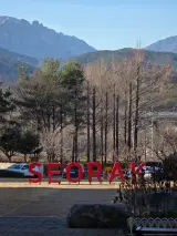 금호 리조트 설악 스위트 조식 온천 사우나 후기