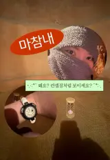 분당 체리빌 장작 불한증막 24시간 사우나 방문 후기ㅣ분당...