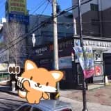 의정부 호원동 세심청사우나 목욕탕 정보