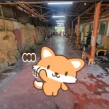 창원 진해구 보배산참숯가마찜질방 정보