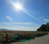 2024 순천남승룡마라톤