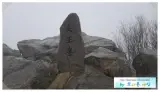 한남금북정맥01회차(도화리~갈목재)종주