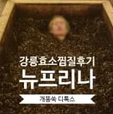 강릉 효소 찜질 '뉴프라나' 후기(개똥쑥 디톡스)
