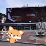 진안군 온천 진안홍삼스파 노천탕 거품머드
