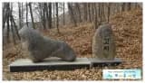 백두대간14회차(도래기재~고치령)