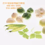 강릉견우네집밥배달전문점 033-641-2020