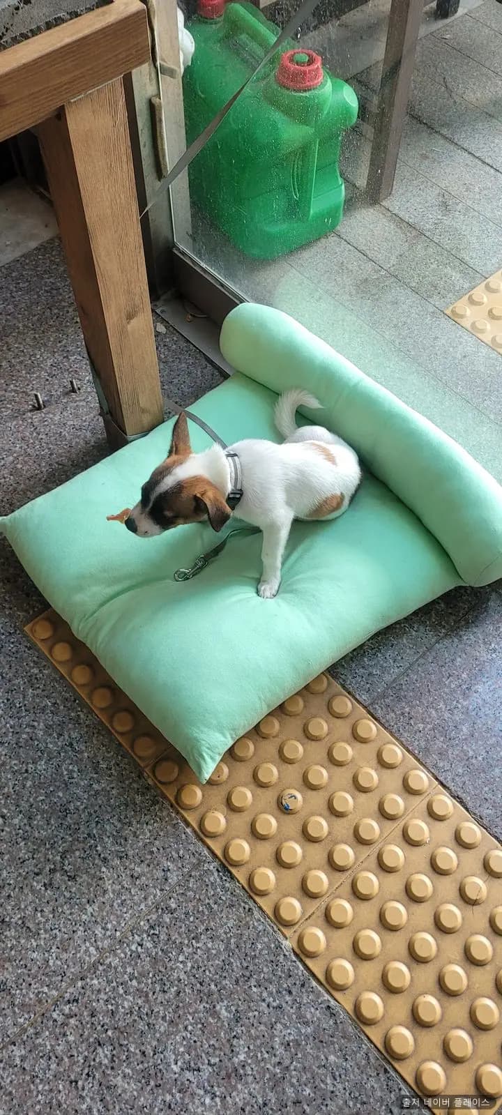 일운목욕탕 1