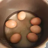 "대룡이랑 찜질방 데이트" <공도 아방궁불한증막사우나 / 안성...