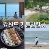 강원도 가볼만한곳 평창부터 브리드호텔 양양
