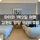아이와 1박2일 여행, 강원도 양양 브리드호텔 (레이드백 스몰룸...