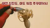 태안 신진도.마도 워킹 쭈꾸미낚시 완전 가이드