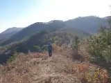 영산기맥 2구간 (2부) : 마루금을 따라가는 임도가 좋다 (장성...
