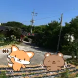 횡성군 허브황토찜질방 정보