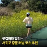 남쪽 바다를 끼고 달리는 '중문 벚꽃런' 러닝 코스와 5천원사우나