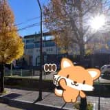 동해 화정원사우나 목욕탕 정보