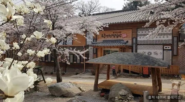 탁영정 1