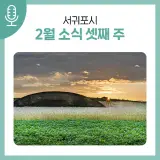 서귀포시 2월 소식 (셋째 주)