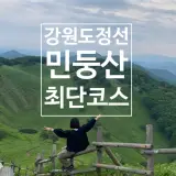 <강원도-정선> 여름등산 /1시간만에 정상 가성비 최고 민둥산...