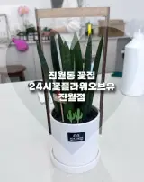 진월동꽃집 꽃배달까지 하는 24시꽃플라워오브유 진월점
