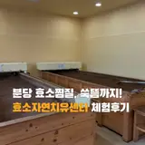 분당효소찜질 효소자연치유센터 방문 후기 이열치열 관리
