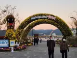 마산 가고파국화축제 - 3.15 해양누리공원 - 창원시 마산합포구