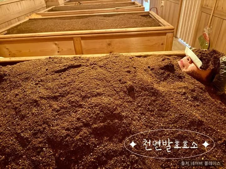 천연발효효소찜질원 1
