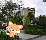 부산 기장군 동부산SPA온천 사우나 목욕탕 가족탕