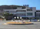 태백역 자작나무