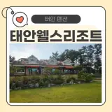 가족 단체 숙소로 강추! 태안 웰스리조트 이용 후기