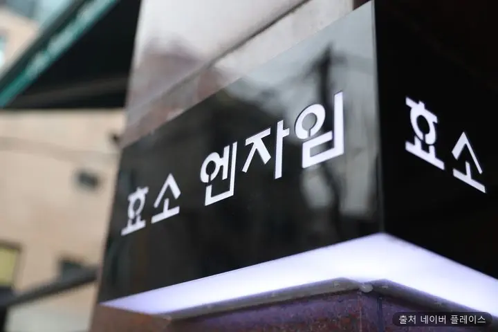 효소엔자임 1