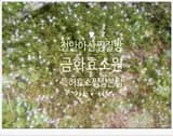 천안아산찜질방 금화효소원본점 효소찜질로 피부고민해결했어요