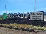 제주 참숯가마찜질방 서귀포시 성산읍 갈만한 곳