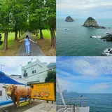 남구 투어 _여름방학 부산버스투어 유엔공원 마리나베이...