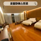 안성팜랜드 인근 호텔마에스트로
