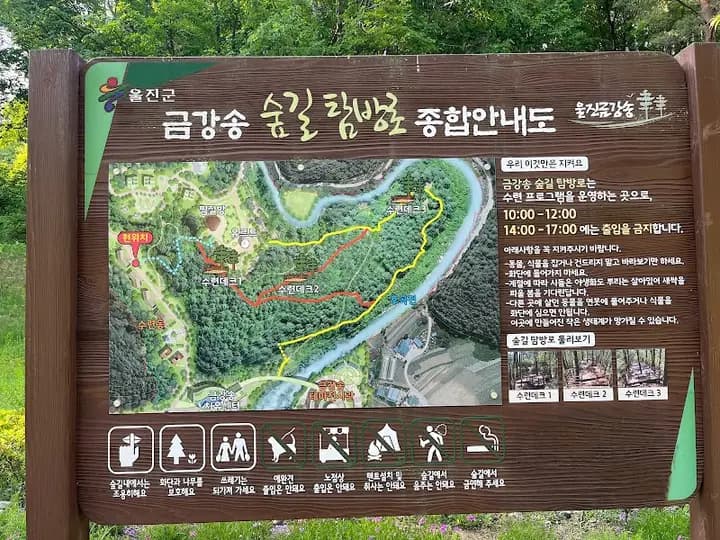 금강송에코리움(목욕탕) 1