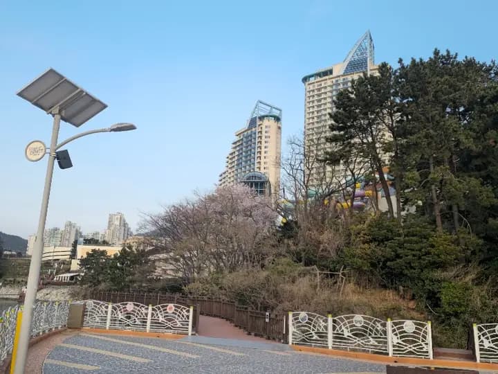 소노캄거제목욕장(사우나) 1