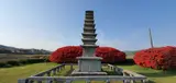 청양군 여행(서정리 구층석탑)