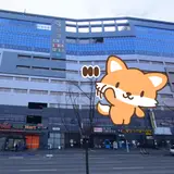 경산시 힐링스파중산 사우나 헬스장 목욕탕 정보