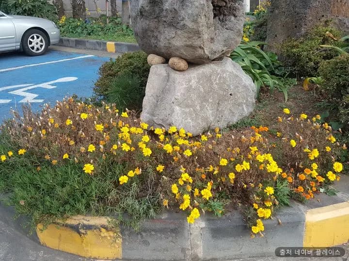 (주)정암레저용두암해수랜드 1