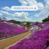 산청 생초조각공원 꽃잔디 보고 블루리본6개 늘비식당 방문기