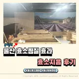 울산효소찜질 산후 다이어트에 도움될까 울산 남구 효소지음...