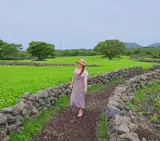 제주 와흘메밀마을 메밀밭 메밀꽃 축제 제주도 5월 꽃구경
