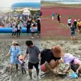 전남 가볼만한곳 목포근교 무안 황토갯벌축제 갯벌체험 물놀이장