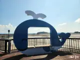 무안 톱머리해변&홀통해변&황토갯벌랜드