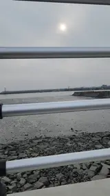 충남 홍성군 남당항 새조개축제 정보와 제철음식